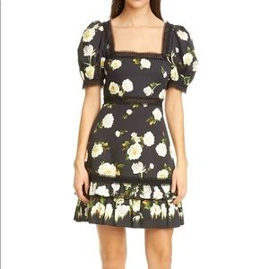 NEW  Alice + Olivia  Dress